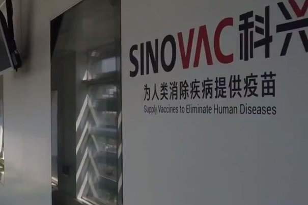 sinovac pejabat china vaksin covid 19