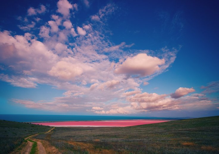 spencer lake adalah pink lake di australia