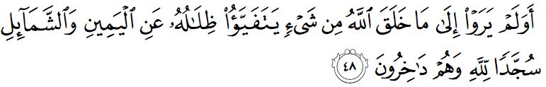 surah an nahl ayat 48