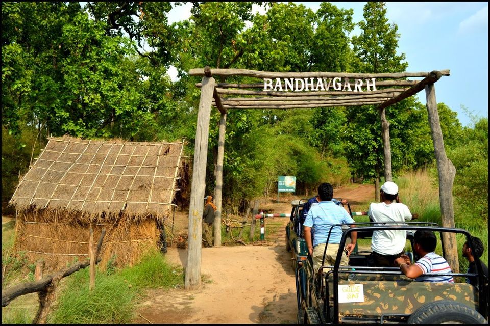taman negara bandhavgarh india