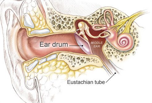 telinga manusia akan meletup