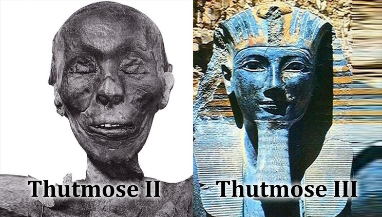 thutmose ii dan thutmose iii 564