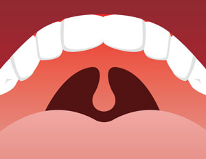 tonsil larynx uvula