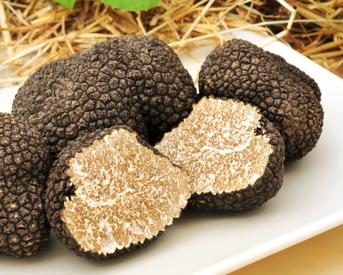 truffle makanan paling mahal di dunia 4