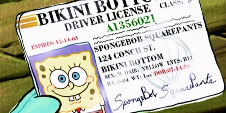 umur spongebob