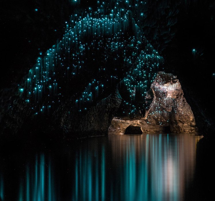waitomo caves tempat alien
