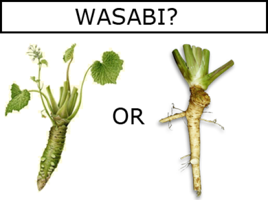 wasabi asli atau horseradish sebagai wasabi tiruan