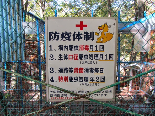 zoo musang
