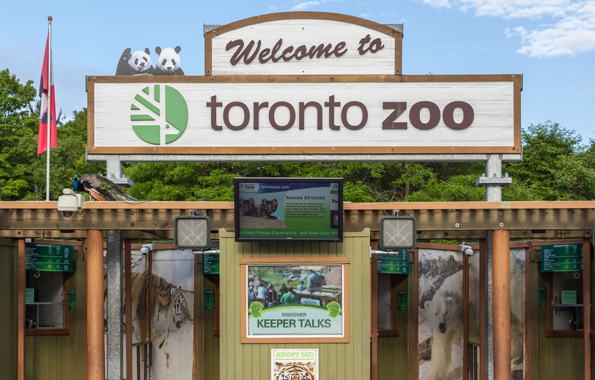 zoo toronto