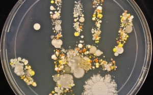 Adakah Mencuci Tangan Dengan Sabun Antibakteria Sahaja Memadai? Ini Jawapannya