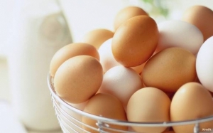 Beza Antara Telur Ayam Putih dan Coklat
