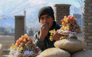 Cara Orang Afghanistan Simpan Buah Anggur Sehingga 6 Bulan Tanpa Peti Ais