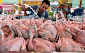 Mengapa Orang Barat Tidak Cuci Ayam Mentah Sebelum Masak? - Kajian