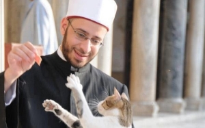 Kisah Syeikh Usamah Al Azhari bersama seekor kucing