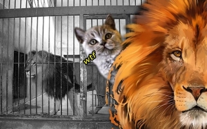 Sejarah Zoo Yang Menjadikan Kucing dan Anjing Sebagai Tiket dan Makanan Singa