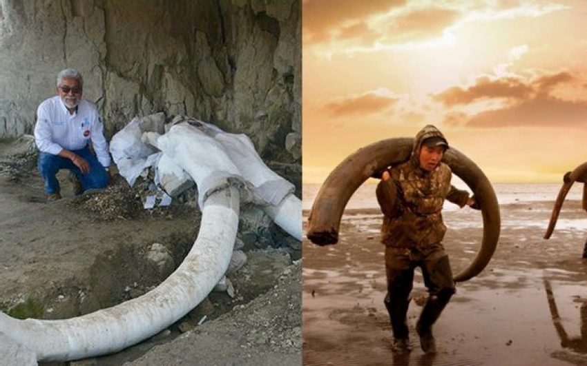Penemuan Tulang Gajah Gergasi Buktikan Manusia Purba Suka Makan Gajah
