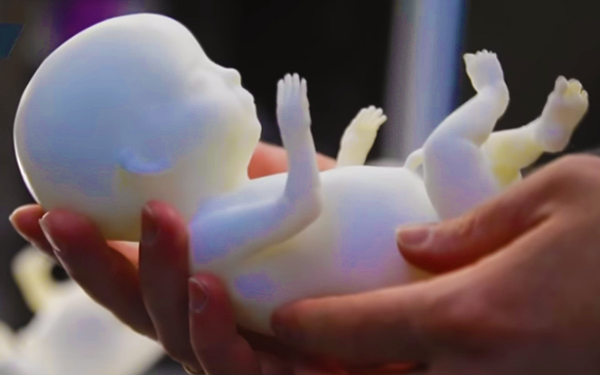 3d print baby model embrio yang boleh disentuh