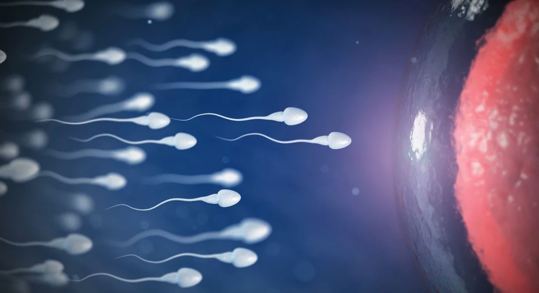 9 mitos tentang sperma yang ramai masih percaya 4
