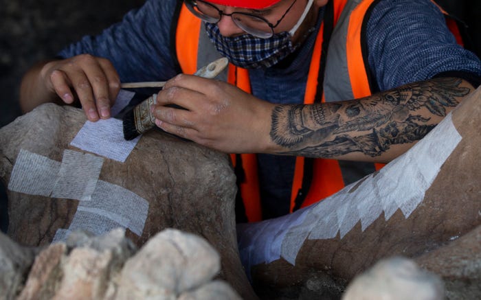 ahli paleontologi memeriksa tulang gajah gergasi jfif