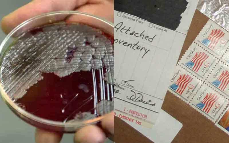 anthrax senjata biologi bakteria