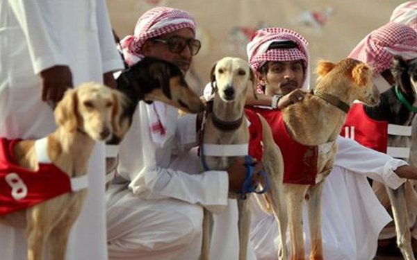 arab pun bela anjing