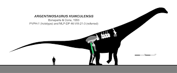 argentinosaurus