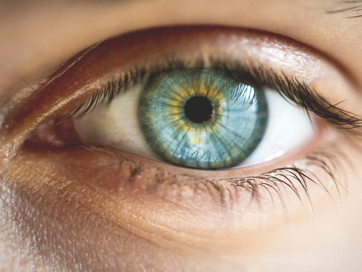 bagaimana melanin mengubah warna mata