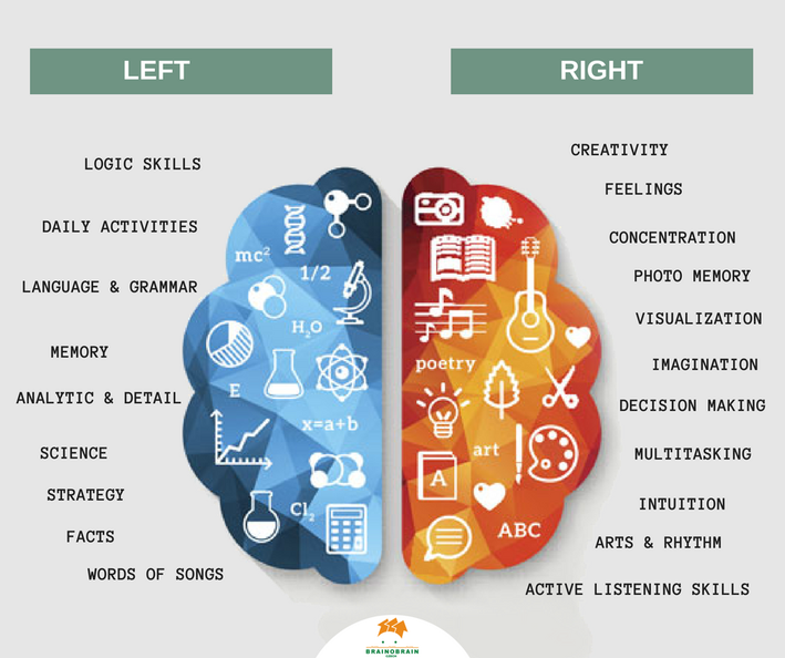 bahagian kiri dan kanan otak