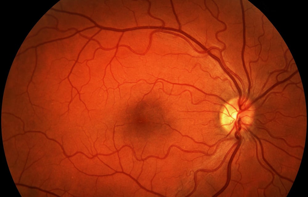 bahagian retina mata biometrik