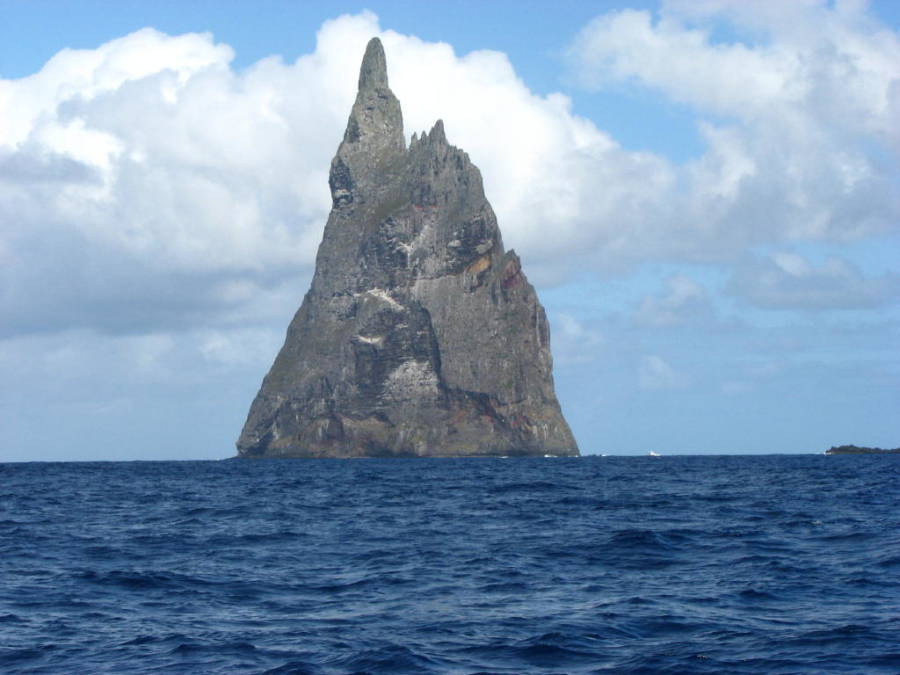 ball s pyramid peringatan dramatik terhadap landskap zealandia yang terbentuk oleh gunung berapi