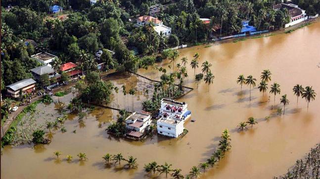 banjir kerala menyebabkan perbungaan neelakurinji terjejas dan tiada pelancong datang
