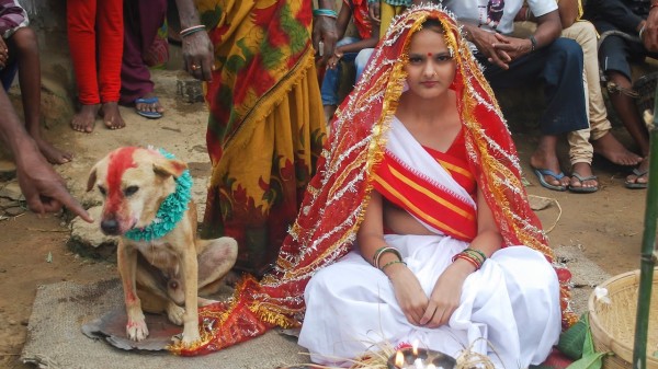 berkahwin dengan anjing di india 2