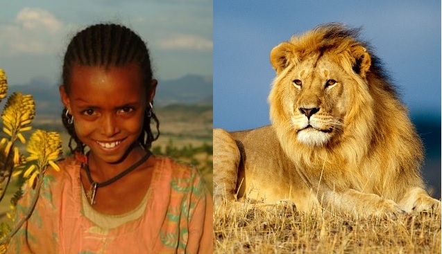 budak perempuan ethiopia diselamatkan oleh singa