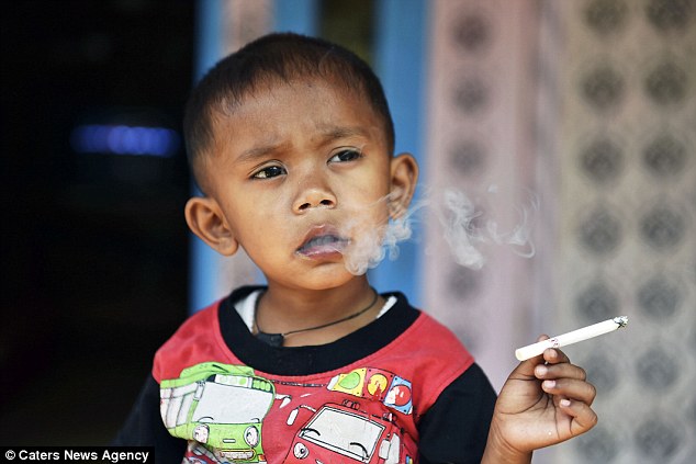 budaya tabiat merokok kanak kanak indonesia 398