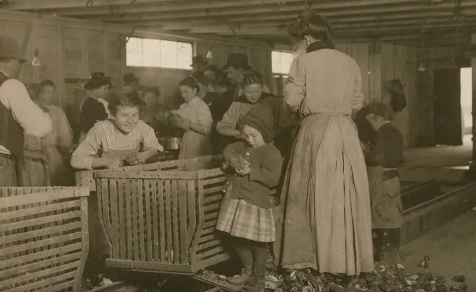 buruh kanak kanak bekerja di kilang tiram