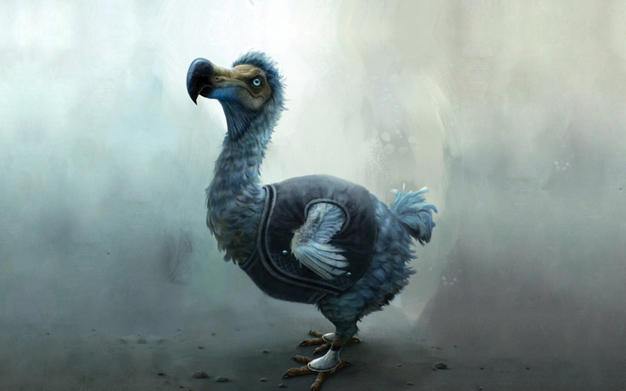 Burung dodo