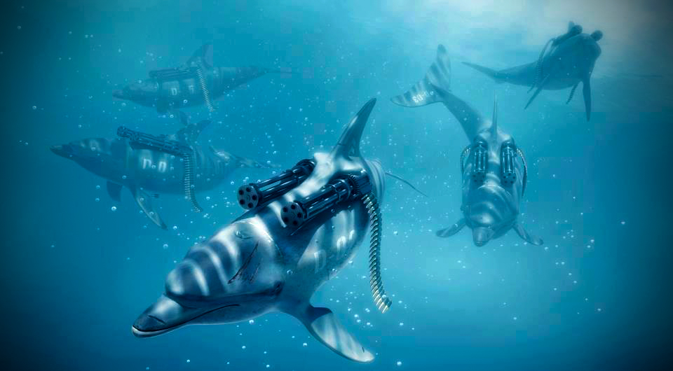 dolfin perang tentera laut