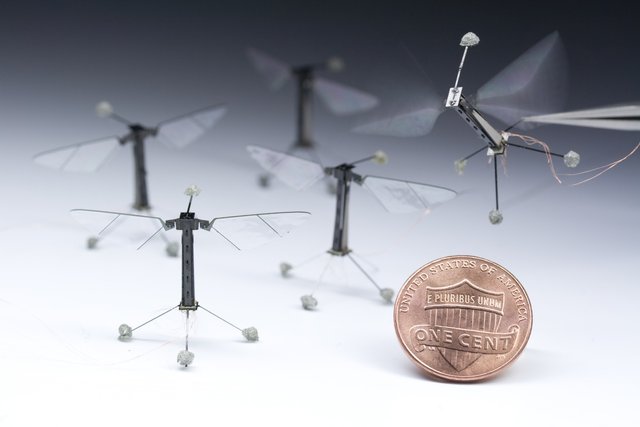 drone paling kecil di dunia
