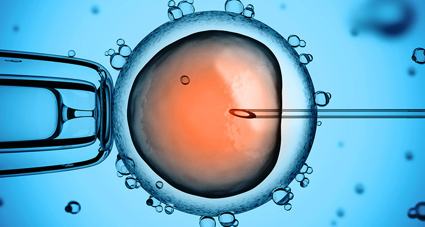 edit gen crispr embrio manusia