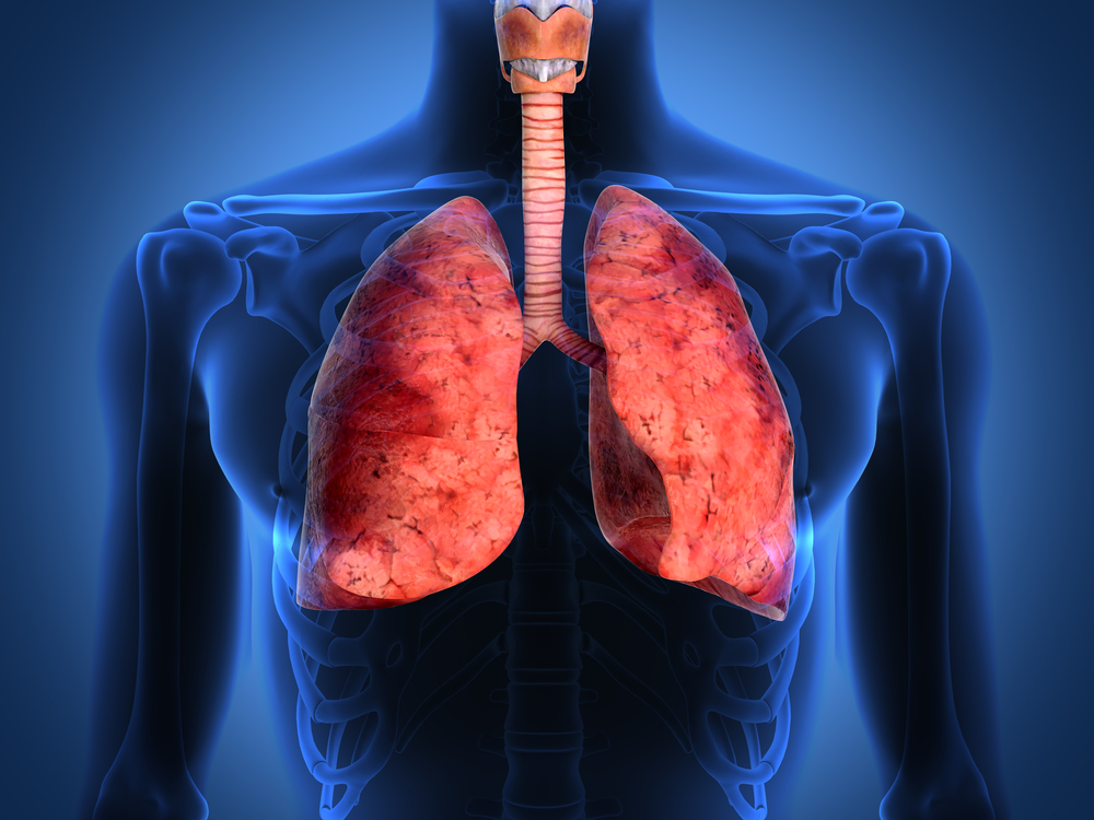 fakta menarik tentang paru paru