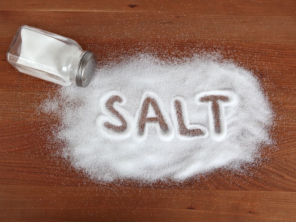 fakta tentang garam
