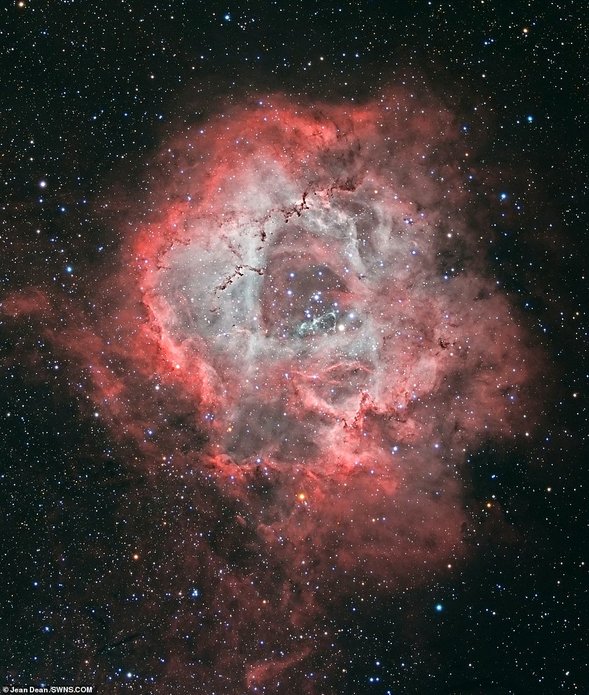 formasi bintang rosette nebula 731
