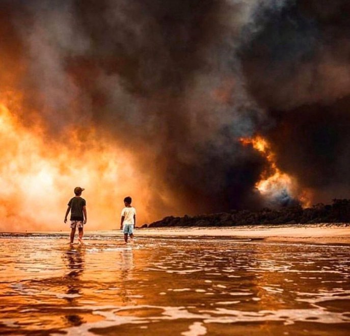gambar sekitar kebakaran hutan di australia 11