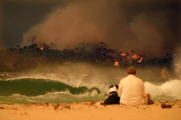 gambar sekitar kebakaran hutan di australia 4