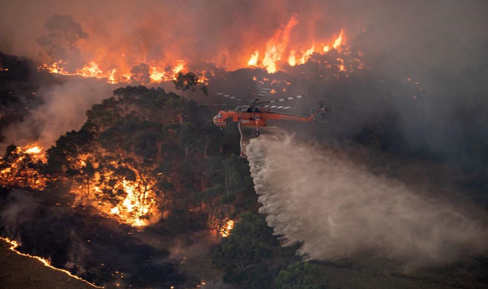gambar sekitar kebakaran hutan di australia 8