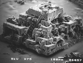 garam kosher di bawah mikroskop