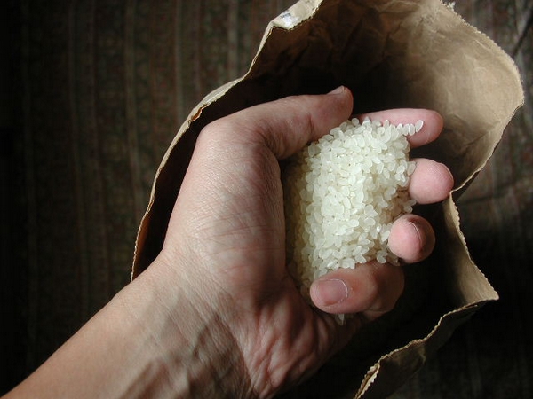 genggam beras