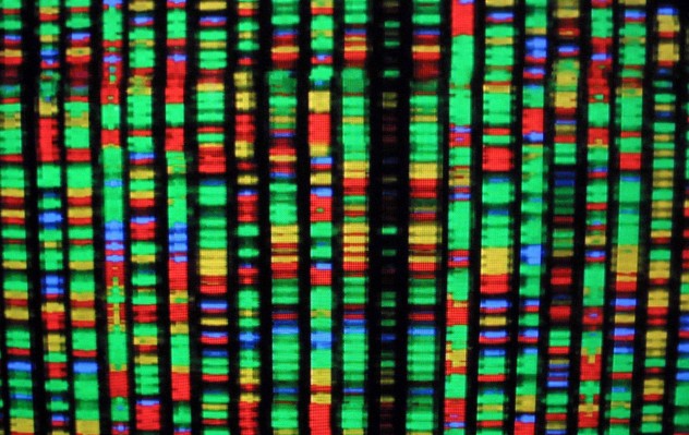 genom manusia