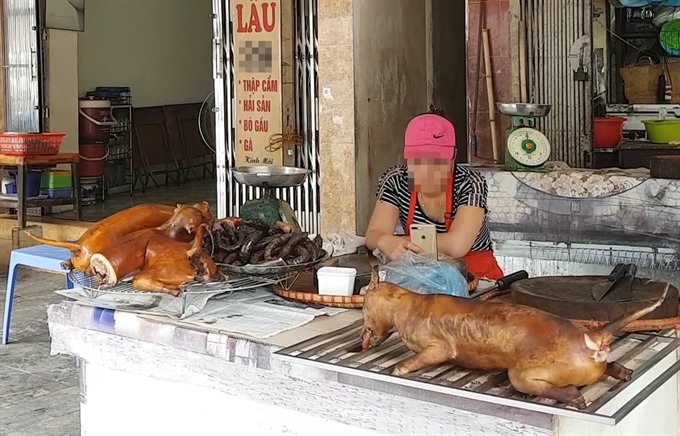 gerai jualan daging anjing di vietnam