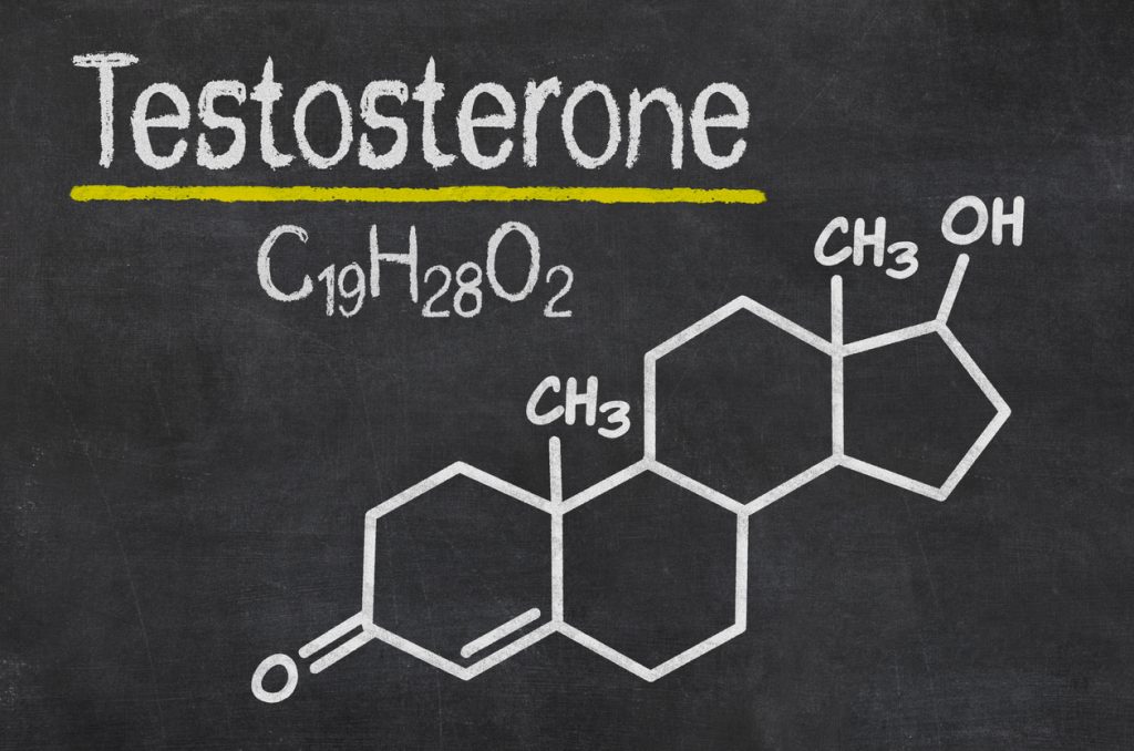 hormon testosterone